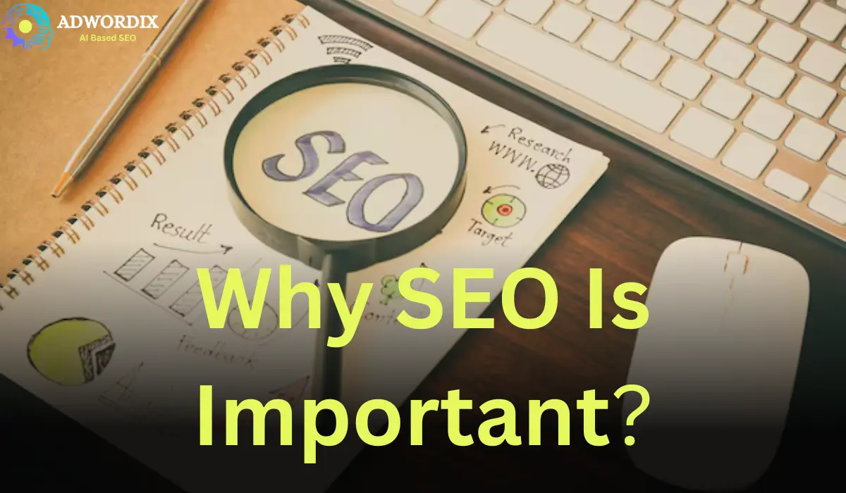 Why SEO is Important?